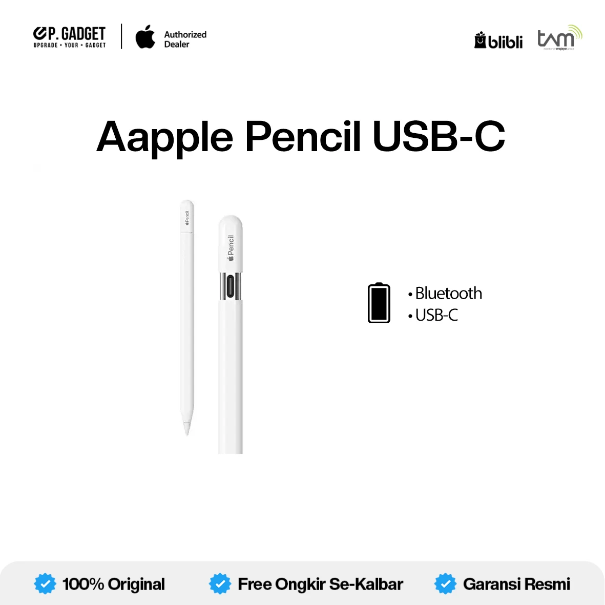 APPLE PENCIL USB-C